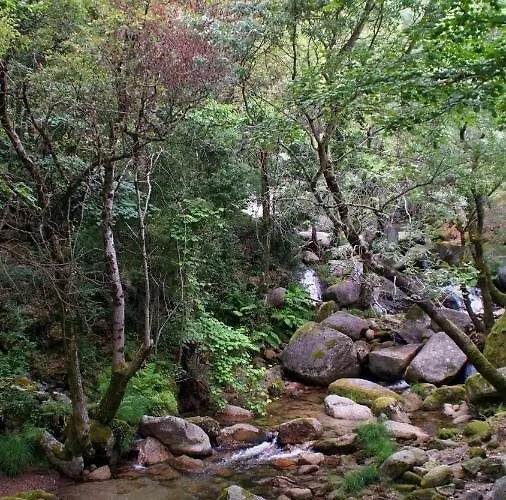 Casa Abrigo Do Lagar