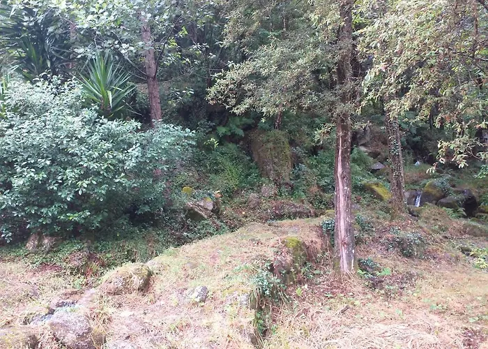 Сasa de vacaciones Casa Abrigo Do Lagar Amares